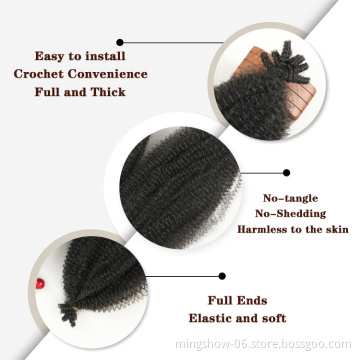 Cheap Crochet Braid Hair Afro Kinky Curly heat resistant wigs Synthetic Hair extension